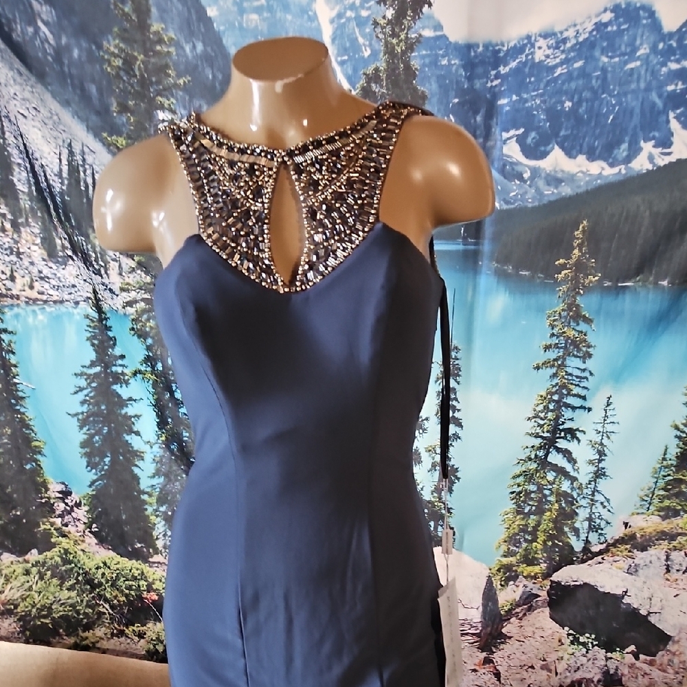 Elegant Navy Blue Embellished Dress
